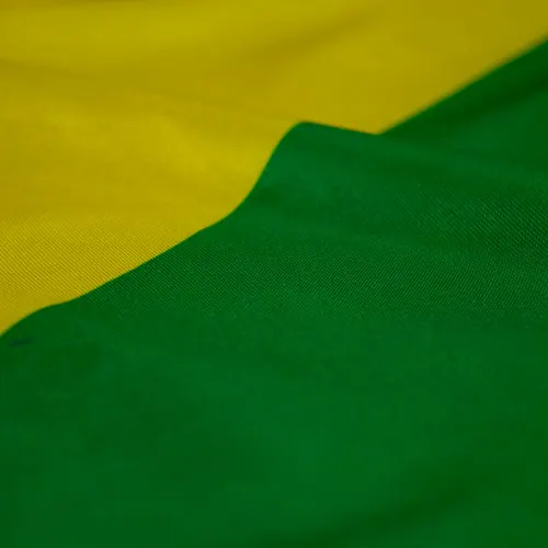 Detalhe do caimento da bandeira do Acre