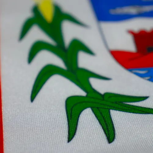 Detalhe do caimento da bandeira de Alagoas
