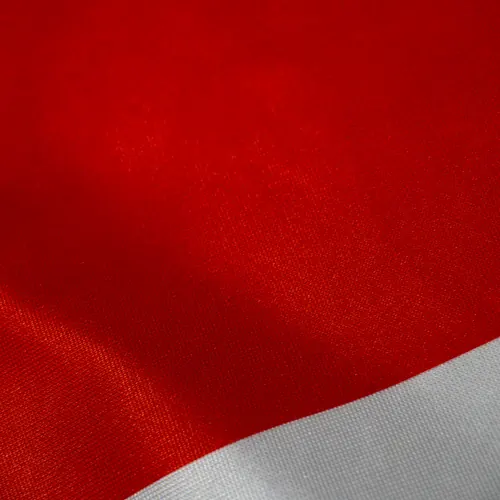 Detalhe do caimento da bandeira do Amazonas
