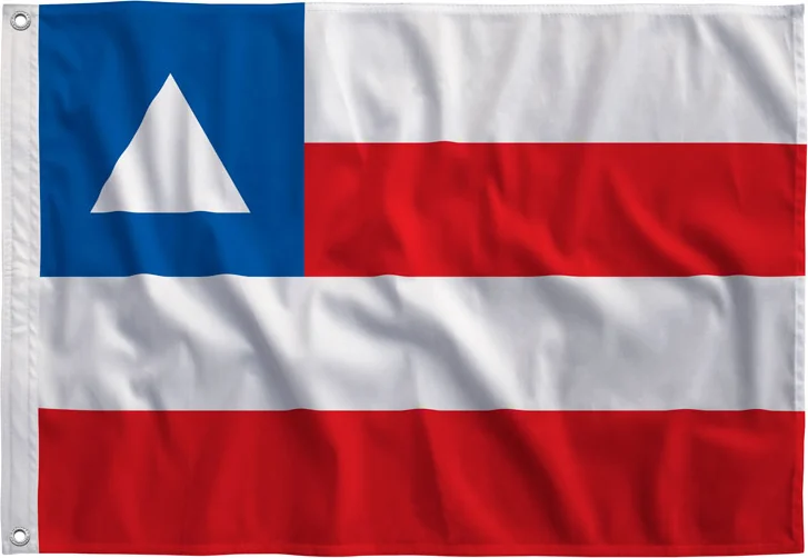 Bandeira da Bahia estampada, vista de frente