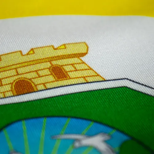 Detalhe do caimento da bandeira do Ceará