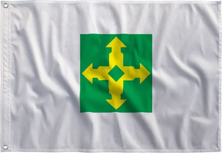 Bandeira do Distrito Federal estampada, vista de frente