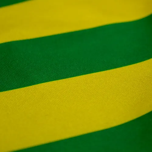 Detalhe do caimento da bandeira de Goiás