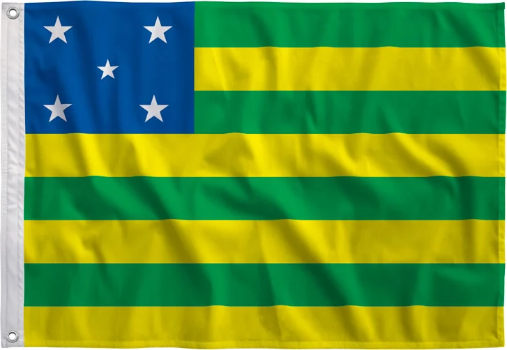 Bandeira de Goiás estampada, vista de frente