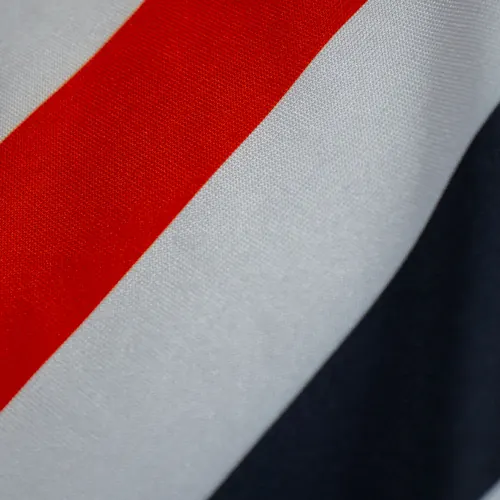 Detalhe do caimento da bandeira do Maranhão