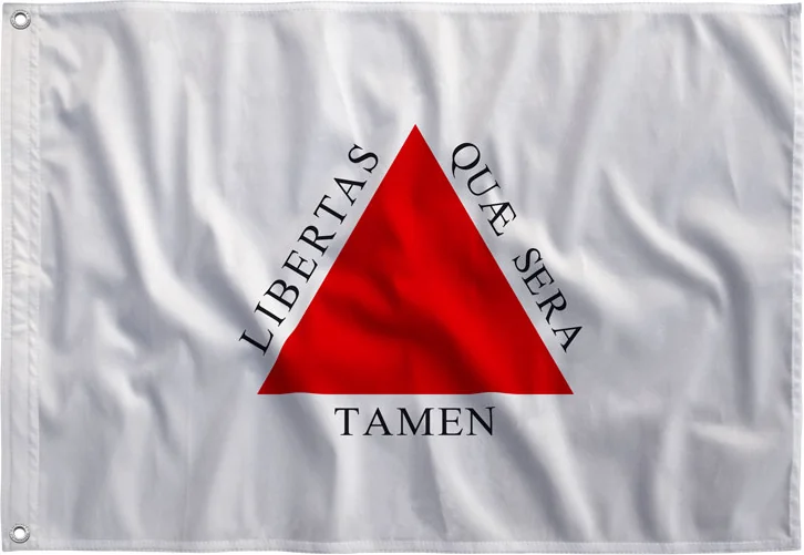 Bandeira de Minas Gerais estampada, vista de frente