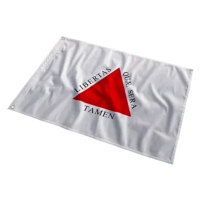 Bandeira de Minas Gerais tremulando
