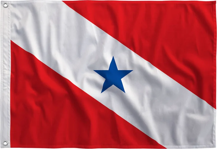 Bandeira do Pará estampada, vista de frente