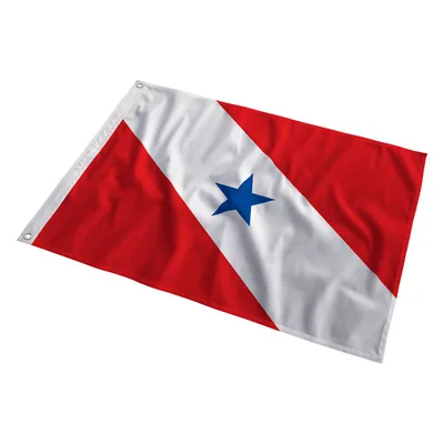 Bandeira do Pará tremulando