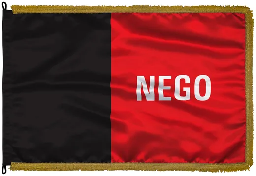 Bandeira da Paraíba em cetim com franja dourada
