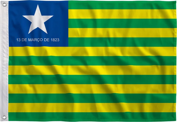 Bandeira do Piauí estampada, vista de frente