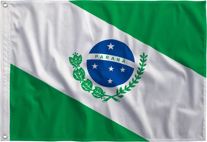 Bandeira do Paraná estampada, vista de frente