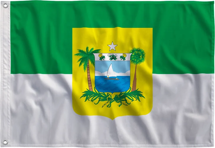 Bandeira do Rio Grande do Norte estampada, vista de frente