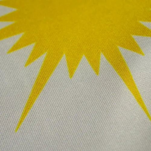 Detalhe do caimento da bandeira do Tocantins